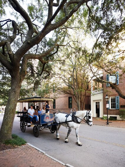 Picture 3 for Activity Charleston, SC: Private Evening Horse & Carriage Tour