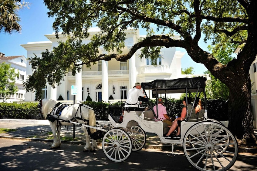 Picture 1 for Activity Charleston, SC: Private Evening Horse & Carriage Tour