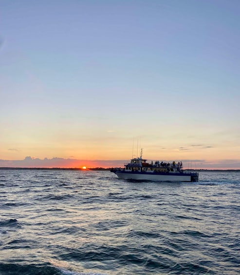 Picture 4 for Activity Murrells Inlet: Sunset Sealife Cruise