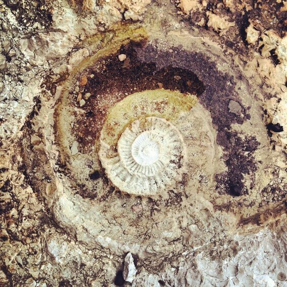 Jurassic Route in the Torcal of Antequera