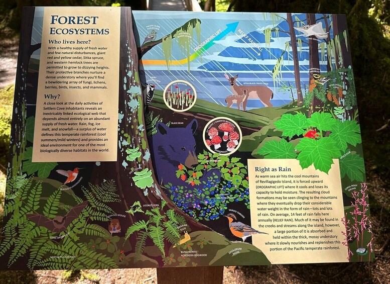 Picture 4 for Activity Wild Wolf Tours - 3 hour