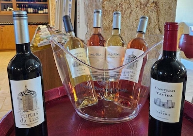 Historic centre & Wine tasting
