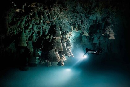 Playa del Carmen: Explore the Surreal World of Cenote Diving