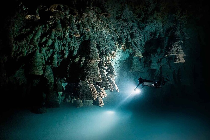 Playa del Carmen: Explore the Surreal World of Cenote Diving