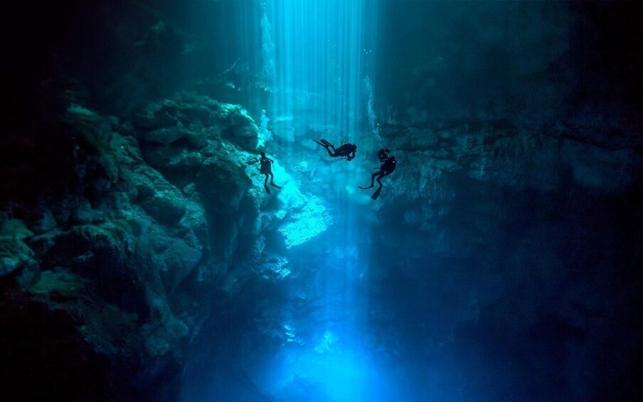 Picture 4 for Activity Playa del Carmen: Explore the Surreal World of Cenote Diving