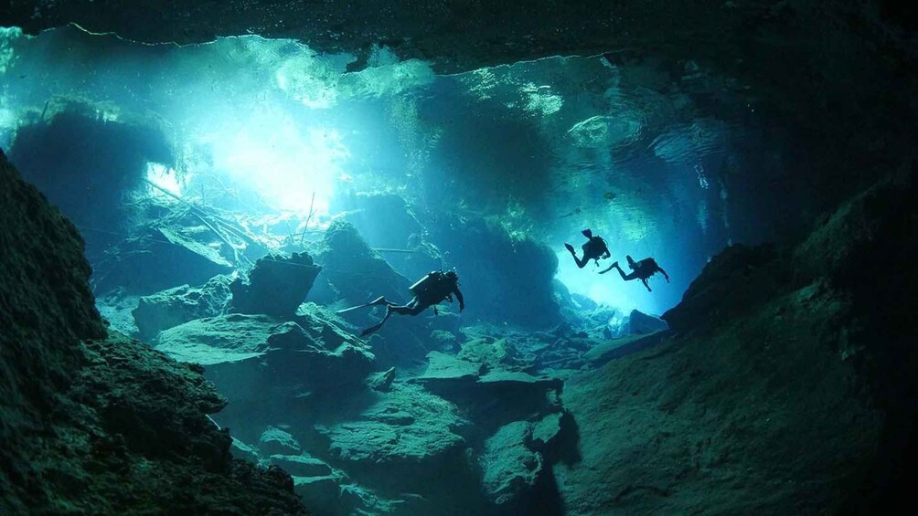 Picture 3 for Activity Playa del Carmen: Explore the Surreal World of Cenote Diving