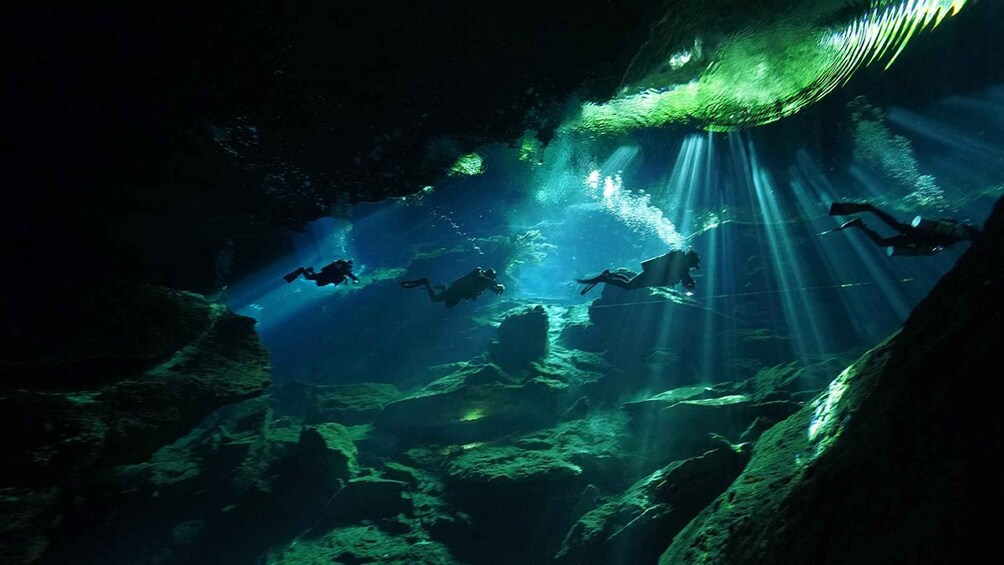 Picture 1 for Activity Playa del Carmen: Explore the Surreal World of Cenote Diving