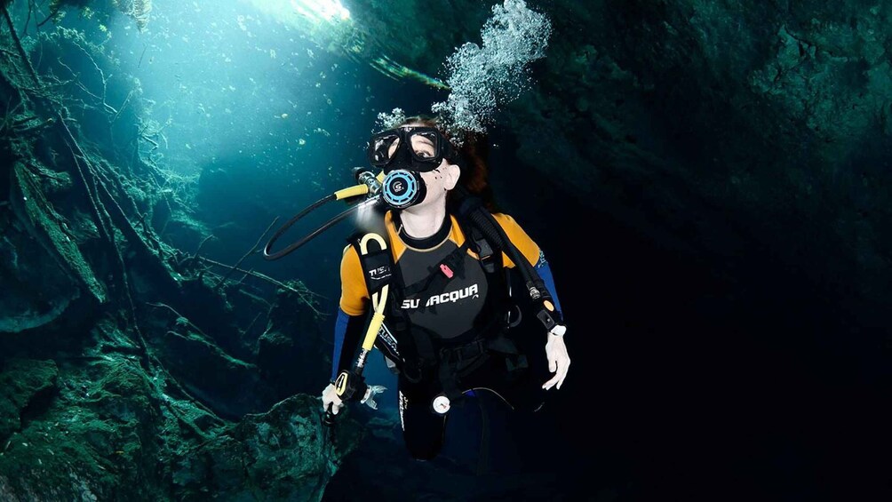 Picture 2 for Activity Playa del Carmen: Explore the Surreal World of Cenote Diving