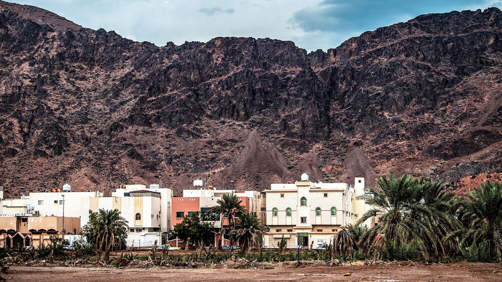 Uhud Experience Tour