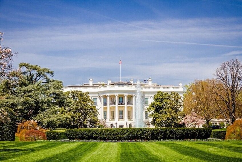 Small-Group Washington D.C, U.S Capitol & Mount Vernon 1-Day Tour