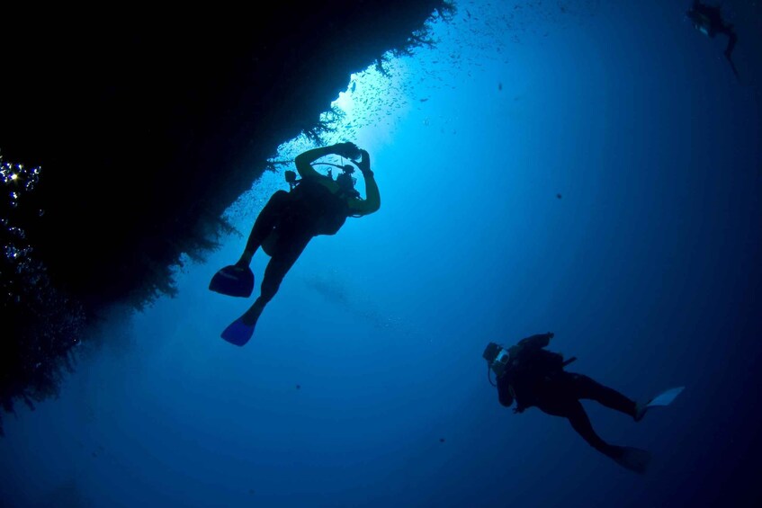 Picture 7 for Activity Playa del Carmen: Dive into our Local Reefs Today!