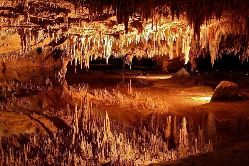 Small-Group DC Day Trip to Shenandoah National Park&Luray Cavern