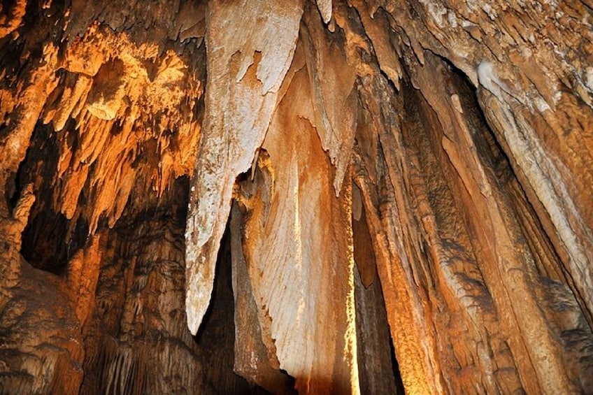 Small-Group DC Day Trip to Shenandoah National Park&Luray Cavern