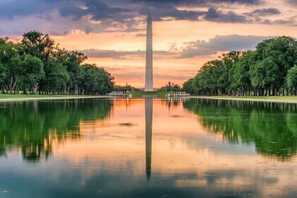Washington VIP Tour