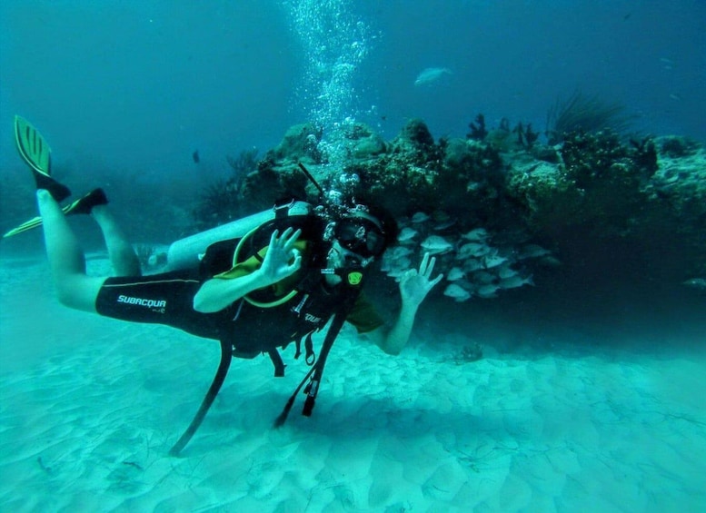Picture 5 for Activity Playa del Carmen: Discover the Surreal World of Scuba Diving