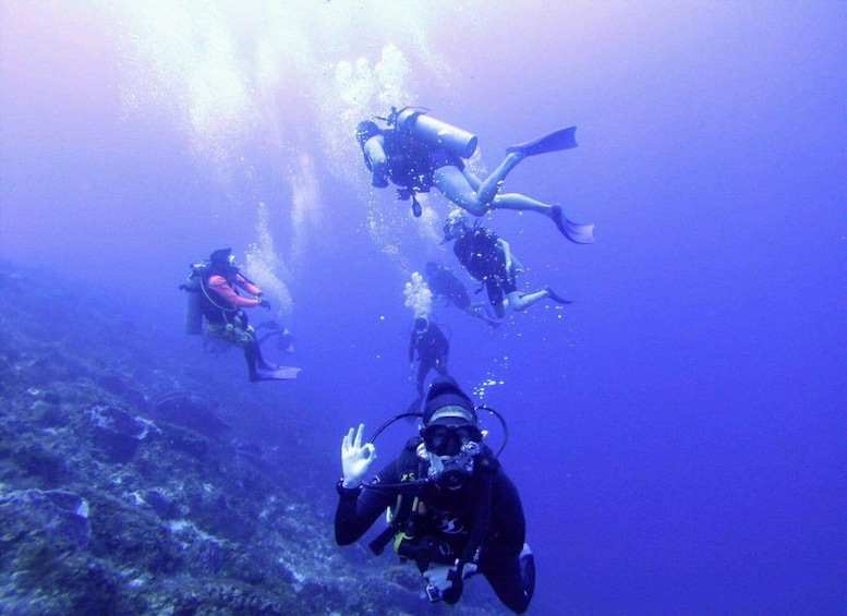 Picture 4 for Activity Playa del Carmen: Discover the Surreal World of Scuba Diving