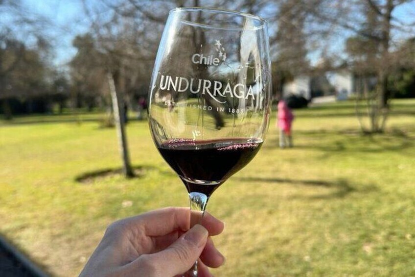 Black Island and Carob Tour with Undurraga Vineyard