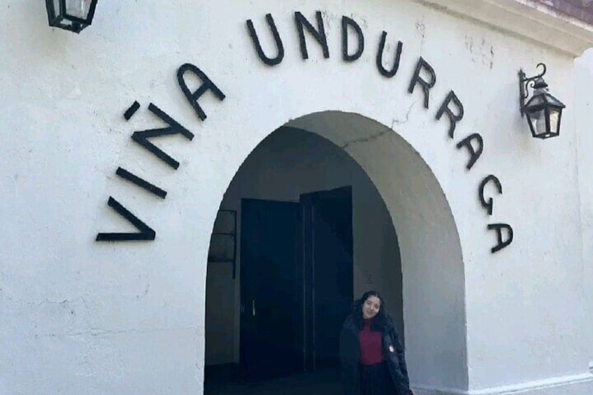 Black Island and Carob Tour with Undurraga Vineyard