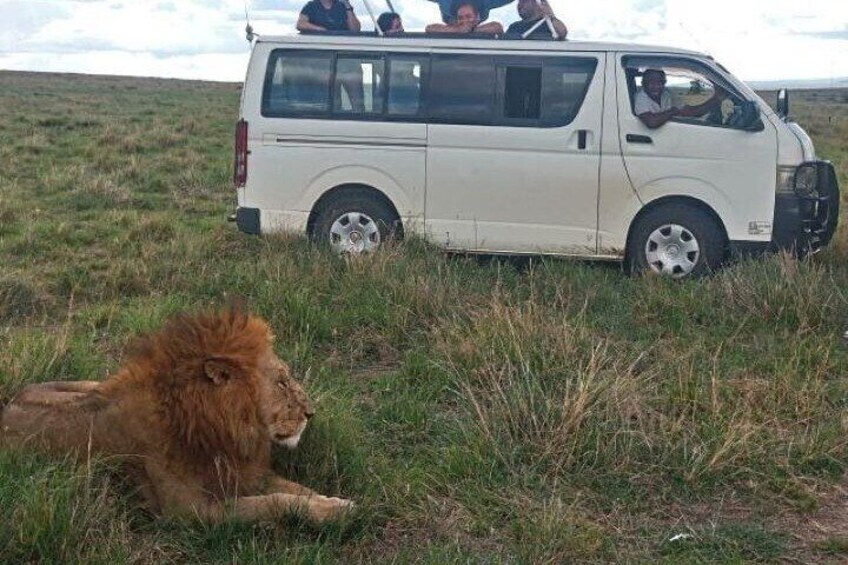 Group Joining Day Tour to Tsavo East from Kilindini/Mombasa Port