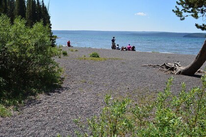 DeLacy Creek Trail Hike to Shoshone Lake with Lunch