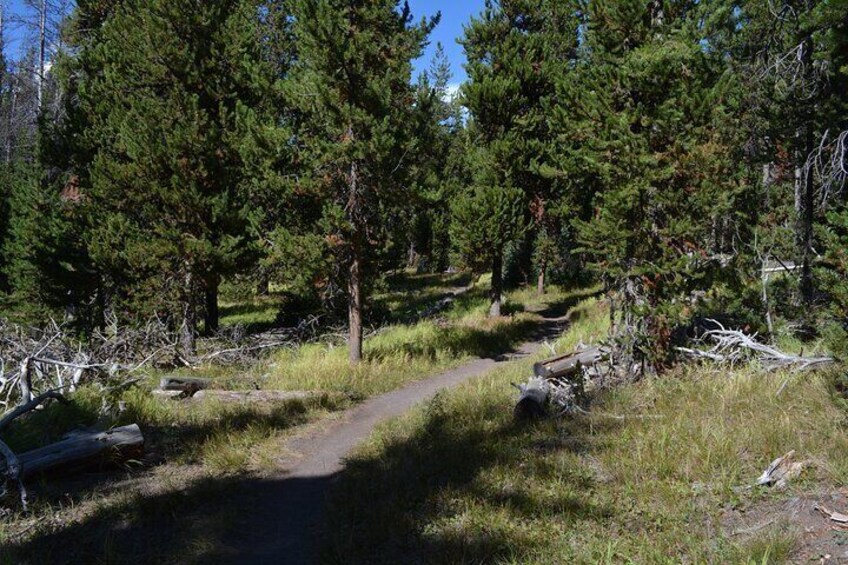 DeLacy Creek Trail Hike to Shoshone Lake with Lunch