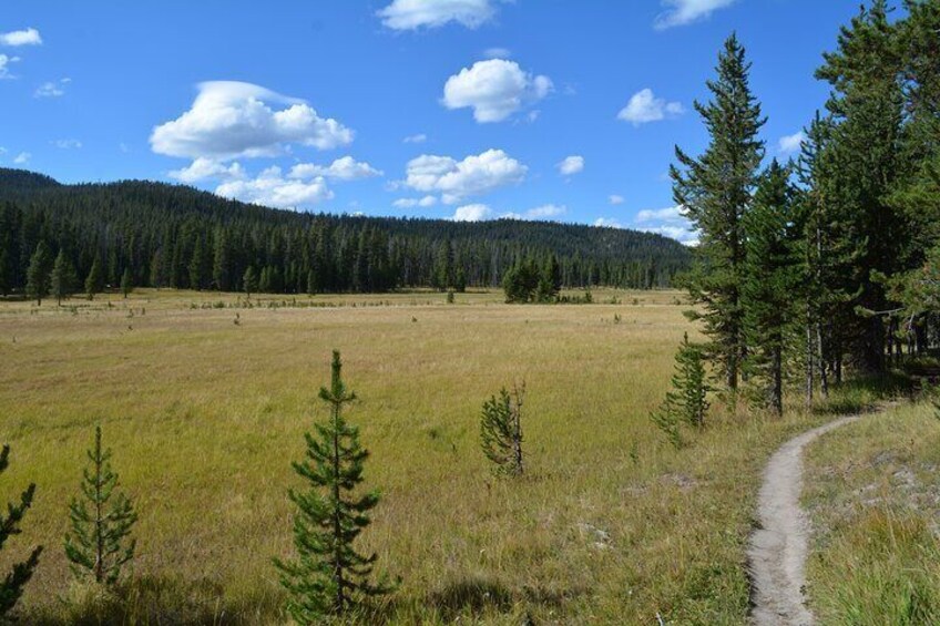 DeLacy Creek Trail Hike to Shoshone Lake with Lunch