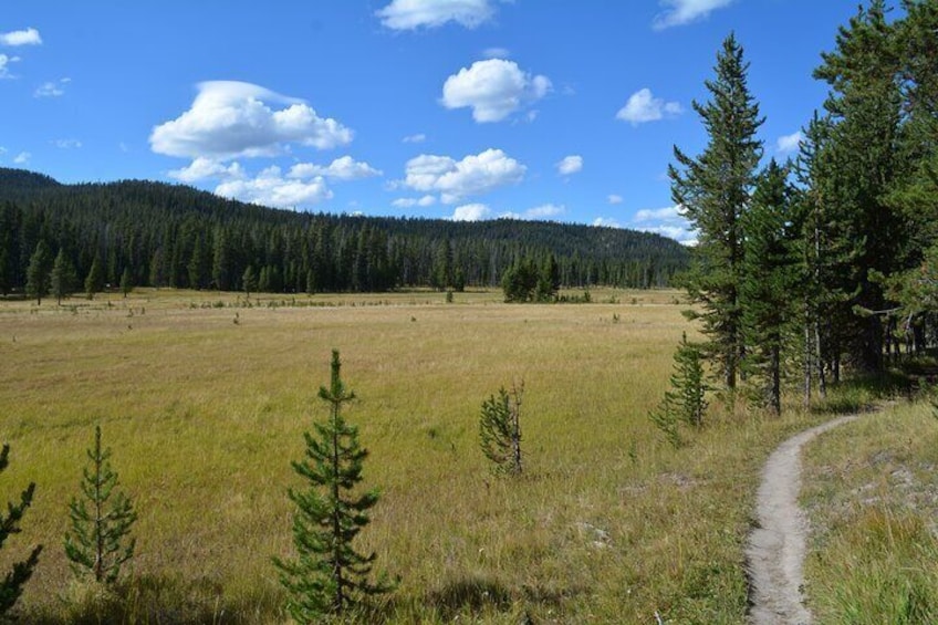 DeLacy Creek Trail Hike to Shoshone Lake with Lunch