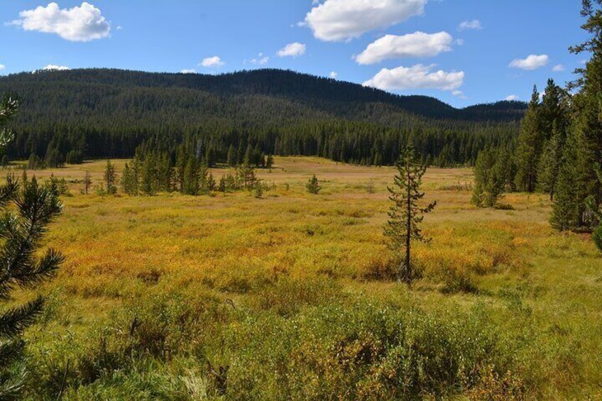 DeLacy Creek Trail Hike to Shoshone Lake with Lunch