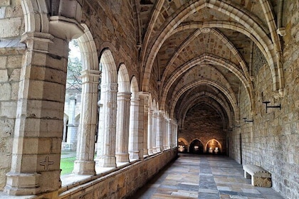 Guided tour of Santander Cathedral