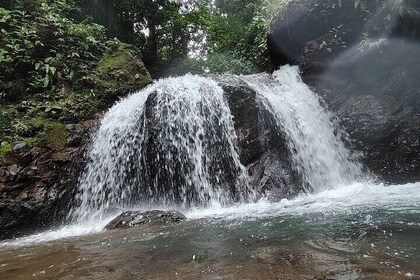 Three Waterfalls in Jaco with Lunch