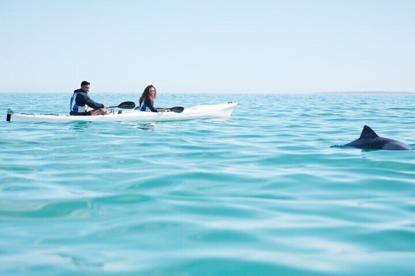 Lima: Kayaking on Lima Coast - Kayak tour