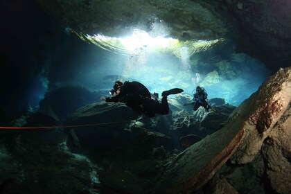 Playa del Carmen: Unforgettable Dive @ Cenote Chikin Ha