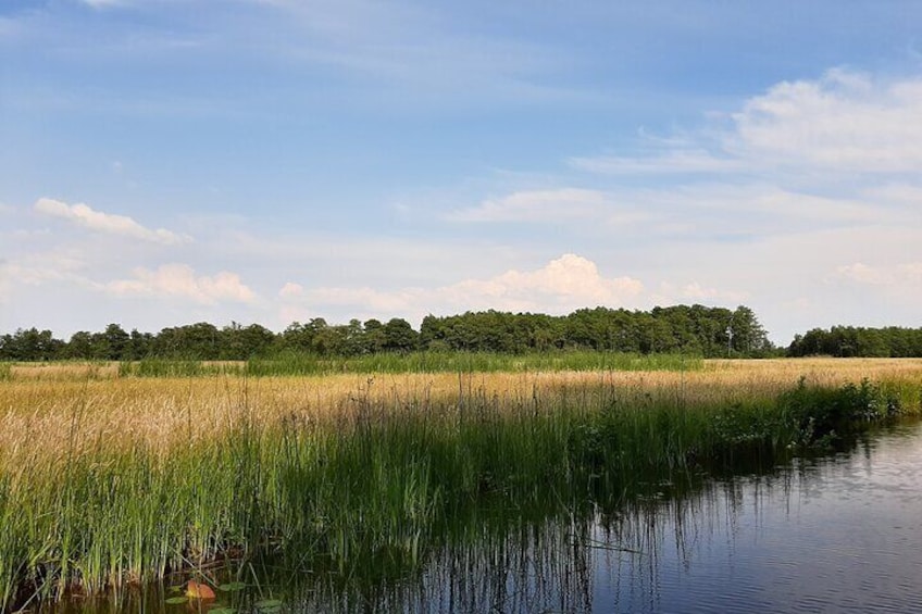 Giethoorn Private 1 or 2 Hour VIP Boat Tour 