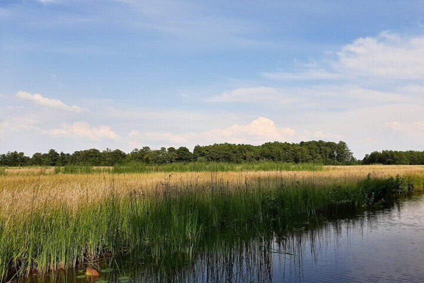 Giethoorn Private 1 or 2 Hour VIP Boat Tour