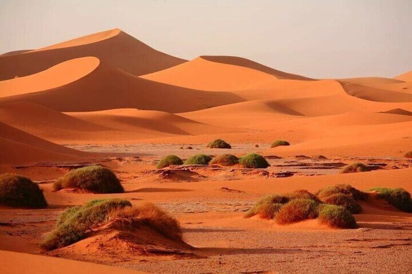 3-Day Sahara Adventure from Fes to Marrakech 