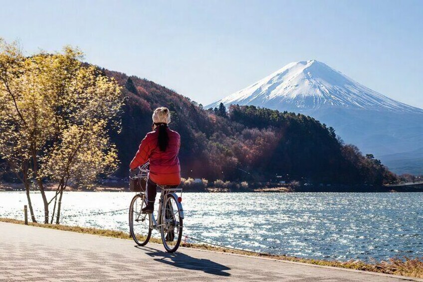 Tokyo: Mt Fuji 3 Lakes Day Trip Secret Spots and Seasonal View