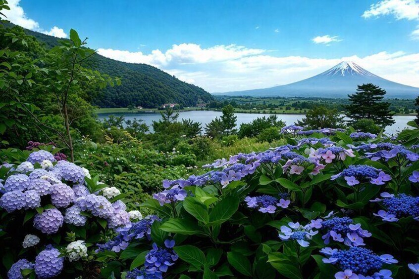 Tokyo: Mt Fuji 3 Lakes Day Trip Secret Spots and Seasonal View