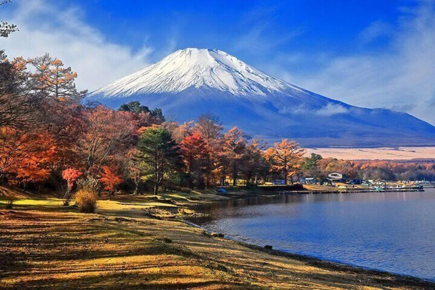 Tokyo: Mt Fuji 3 Lakes Day Trip Secret Spots and Seasonal View
