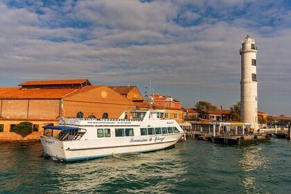 Tour por las Islas Venecia en barco 