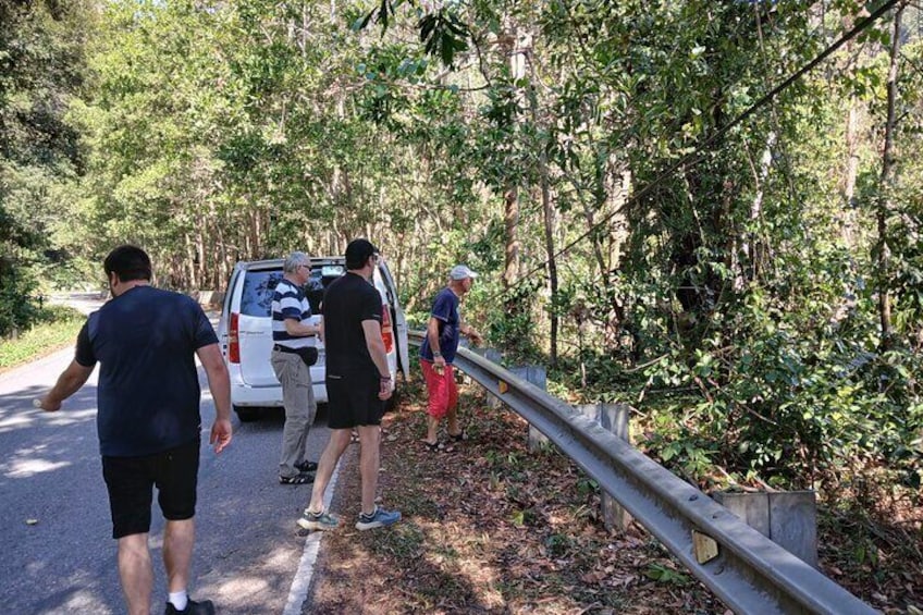 Kampot Bokor Tour By Kamandtour