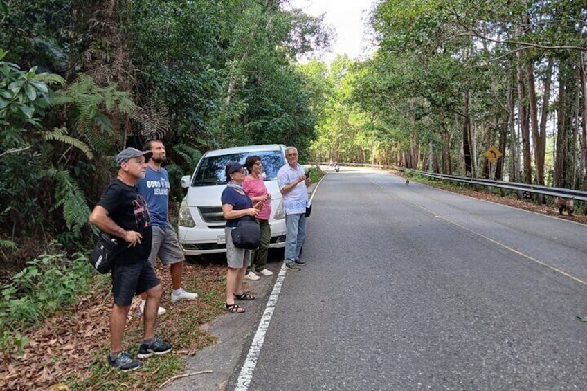Kampot Bokor Tour By Kamandtour