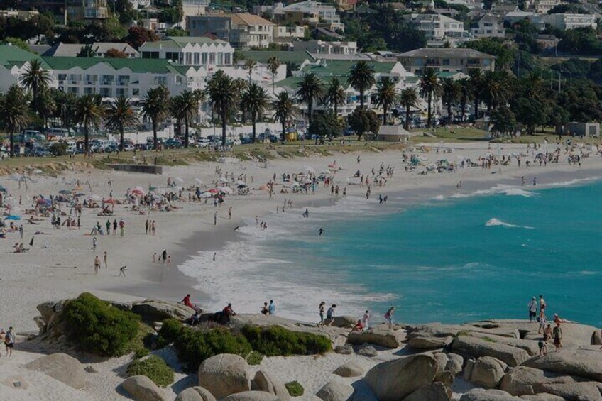 Private Scenic Coastal Cape Peninsula Adventure