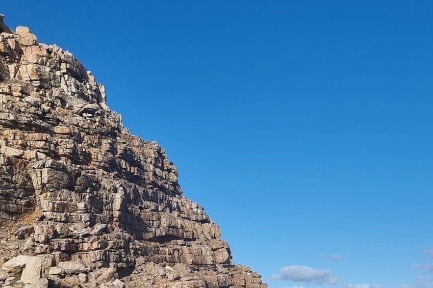 Private Scenic Coastal Cape Peninsula Adventure