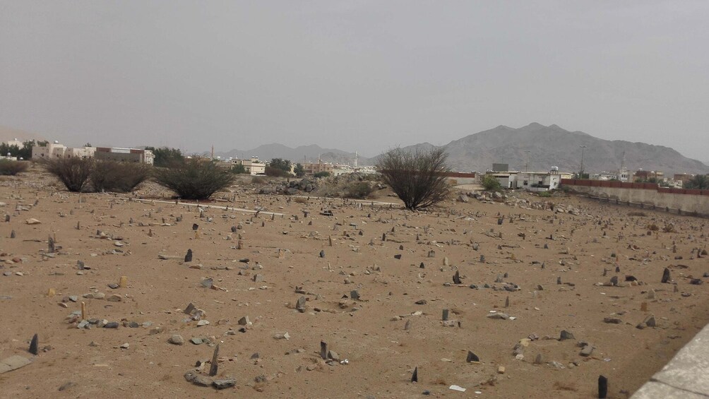 Full Day Badr Tour with lunch from Madinah