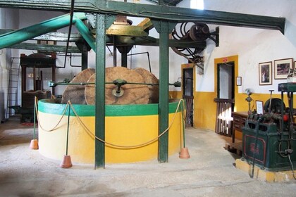Oil Mill and Agro-Food Market from Costa del Sol