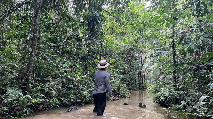 Amazonas Jungle Birdwatching Day Tour