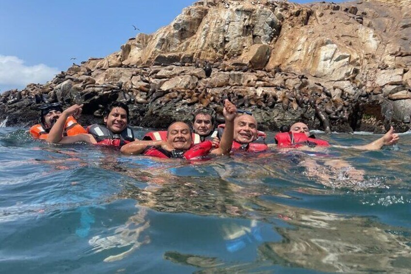 Swimming with Sea Lions on Palomino Island in Lima with Tickets