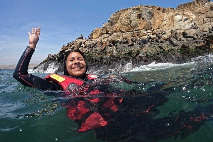 Swimming with Sea Lions on Palomino Island in Lima with Tickets