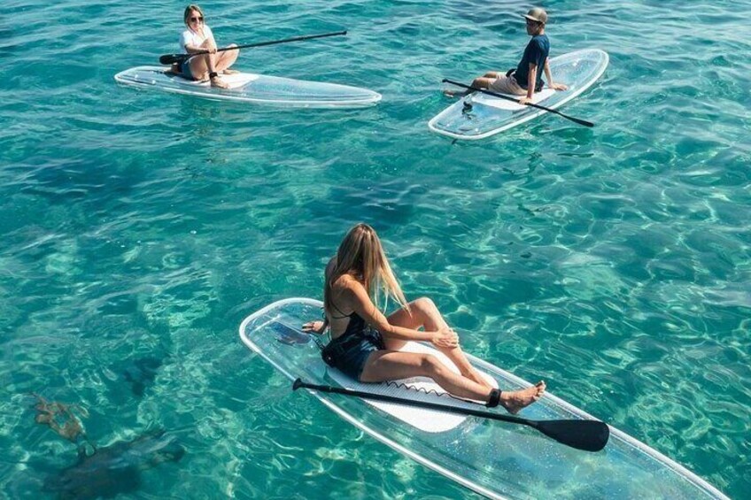 Paddle Through Paradise on a Transparent Paddleboard.
