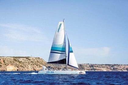 Catamaran Tour Natural Park of the Bay of Palma